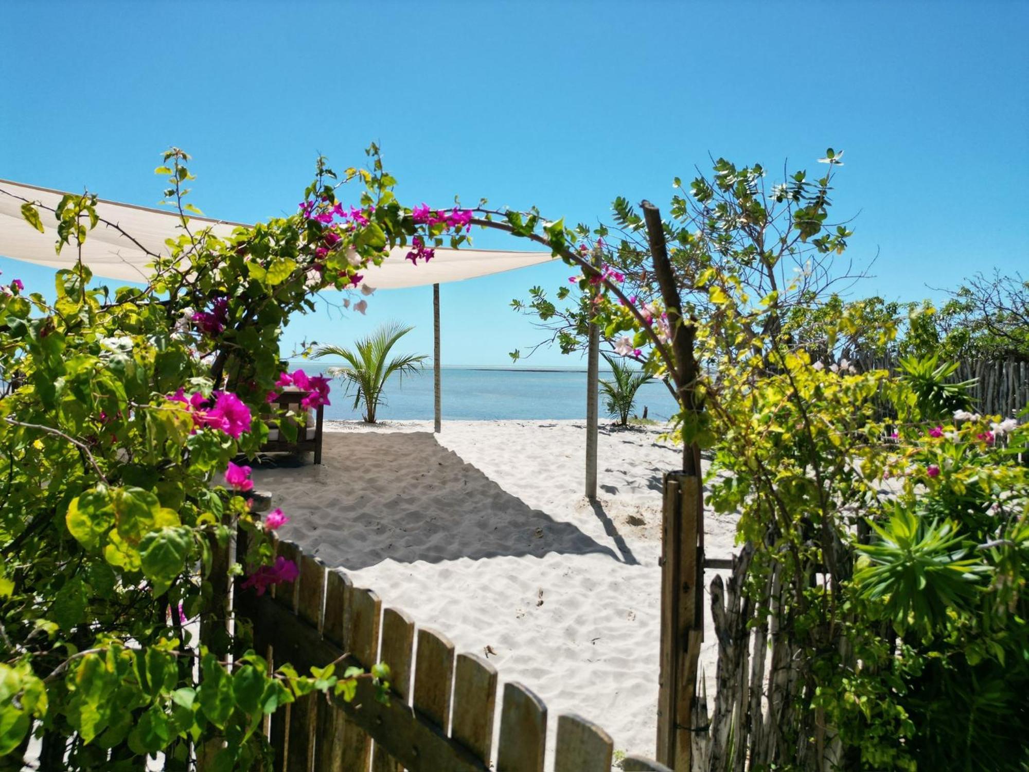 Casa Camurupim Barra Grande  Dış mekan fotoğraf